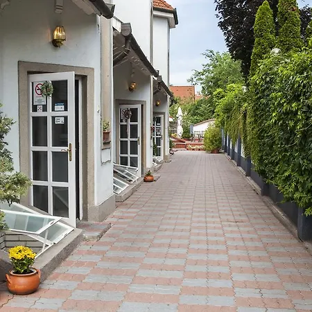 Passzio Panzio Guest house 3*