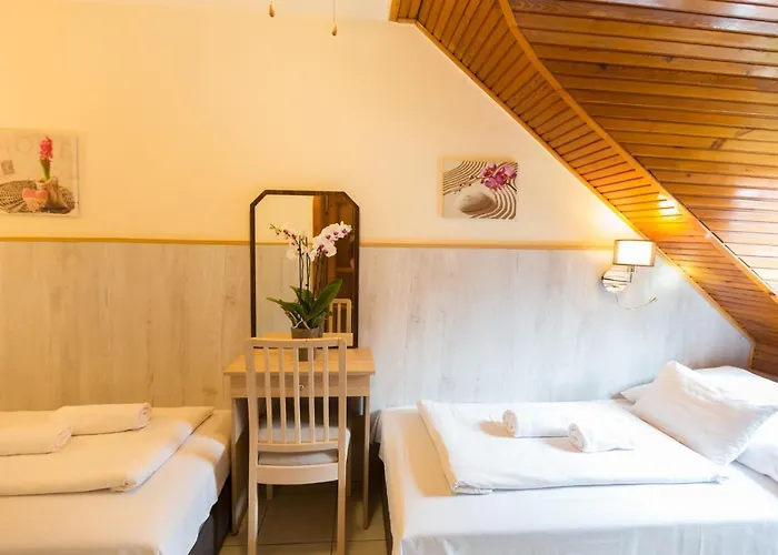 帕西欧佩泽欧酒店