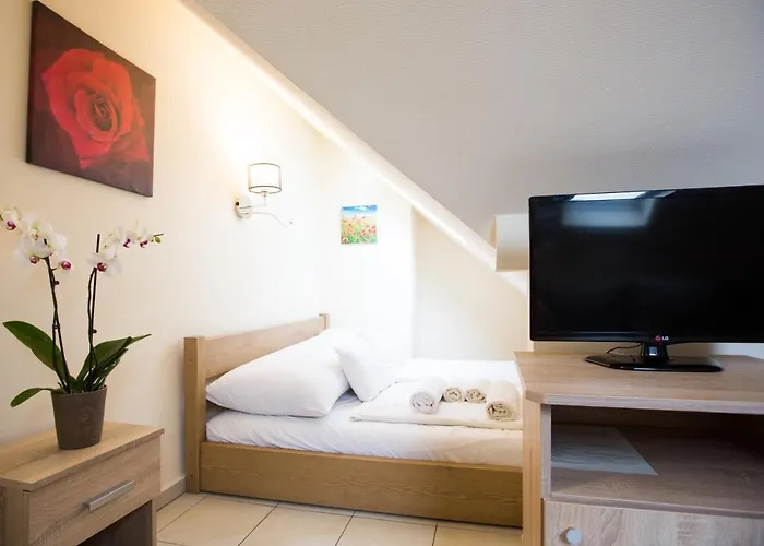 帕西欧佩泽欧酒店 布达佩斯