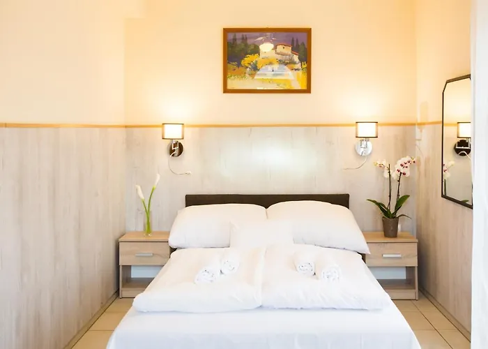 帕西欧佩泽欧酒店 招待所