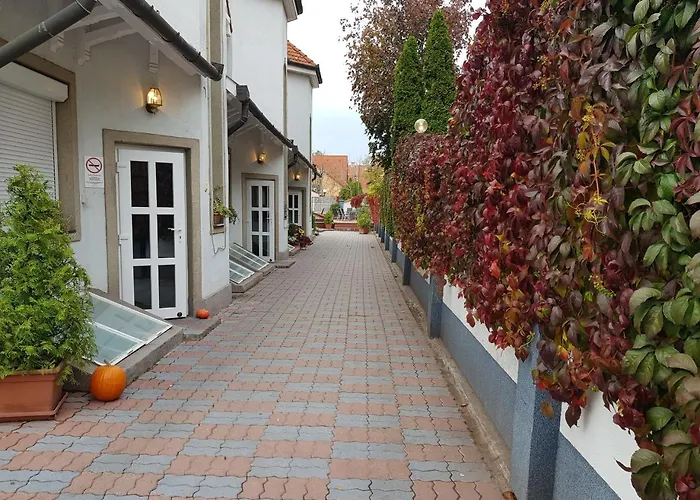 帕西欧佩泽欧酒店 招待所