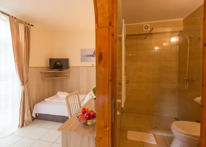 Passzio Panzio 3* Budapest